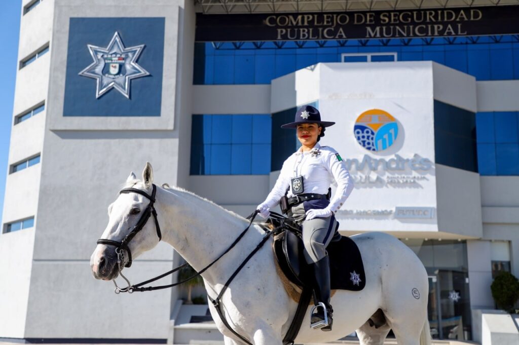 cholula seguridad