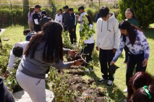 Estudiantes del Bachillerato Elena Garro participan en campaña de reforestación