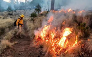 Crecen incendios en Puebla durante 2026; ANP en foco rojo